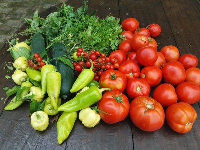 Farmhouse Bauernhaus in Draz f�r 6 Personen - Outdoor photo 11