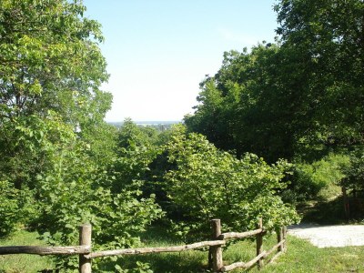 Farmhouse Bauernhaus in Draz f�r 6 Personen - Outdoor photo 14