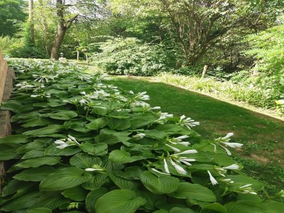 Farmhouse Bauernhaus in Draz f�r 6 Personen - Outdoor photo 15