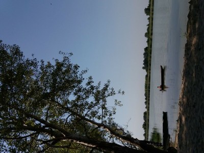 Farmhouse Bauernhaus in Draz f�r 6 Personen - Outdoor photo 49