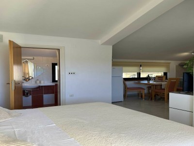 Apartment Apartment Josipa  Vela Luka- Studio Apartment with Balcony and Sea View - Features photo 8