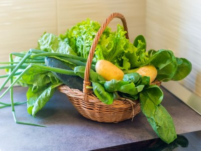 Apartment Apartment &  Rooms Maždin - One Bedroom Apartment with Balcony and Sea View - Outdoor photo 13