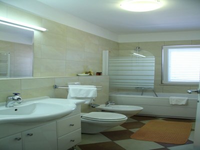 Apartment Villa Alegria Cavtat - One Bedroom Apartment with Balcony and Sea View (Apartment A) - Features photo 5