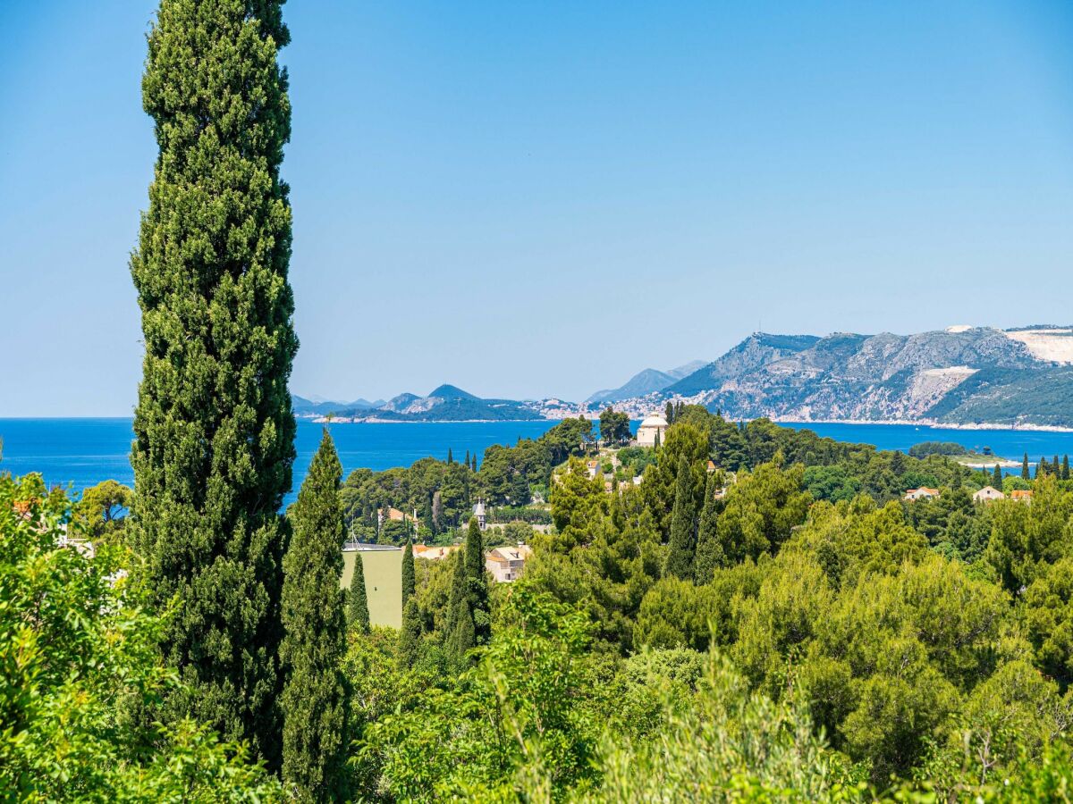 Apartment Villa Alegria Cavtat - Comfort Two Bedroom Apartment with Sea View (Apartment C) - Outdoor photo 5