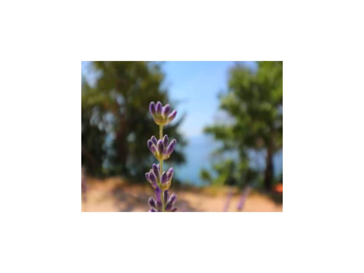 Apartment Apartments Seafront Silence - Studio Apartment with Terrace and Sea View - Outdoor photo 3