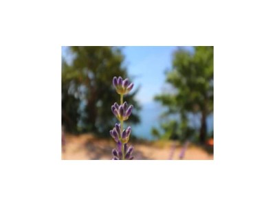 Apartment Apartments Seafront Silence - Studio Apartment with Terrace and Sea View - Outdoor photo 3