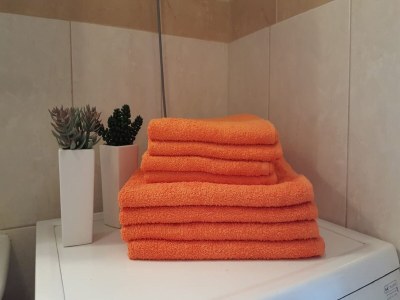 Apartment Bodul Vacation Apartment - Two Bedroom Apartment with Terrace and Sea View - Features photo 4