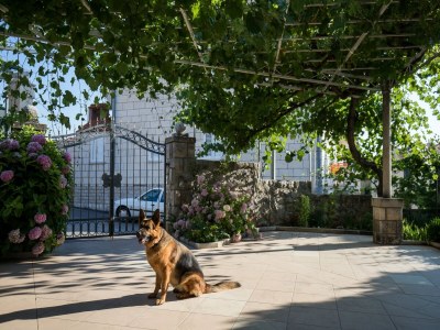 Apartment Apartment Vukic - Studio Apartment with Terrace and Garden View - Outdoor photo 19