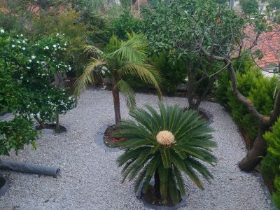 Apartment Villa Peragić - Triple Room with Balcony and Private External Bathroom - Outdoor photo 12