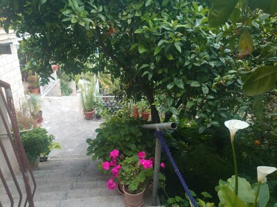 Apartment Villa Peragić - Triple Room with Balcony and Private External Bathroom - Outdoor photo 29