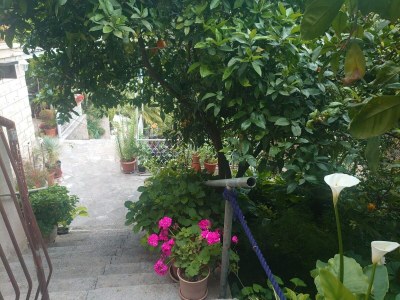 Apartment Villa Peragić - Triple Room with Balcony - Outdoor photo 9