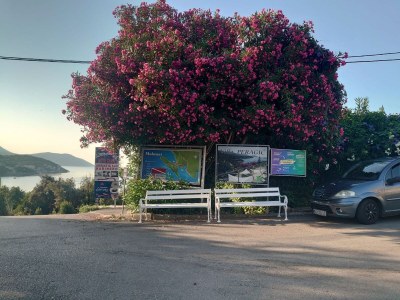 Apartment Villa Peragić - Triple Room with Balcony - Outdoor photo 16