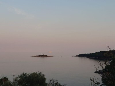 Apartment Villa Peragić - Triple Room with Balcony - Outdoor photo 22