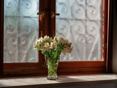 Apartment Romance Apartments Dubrovnik - One Bedroom Apartment with Terrace (R1) - Outdoor photo 2