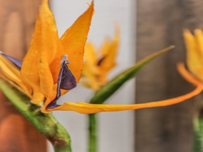 Apartment Apartment Tonka - Two Bedroom Apartment - (ST) - Outdoor photo 36