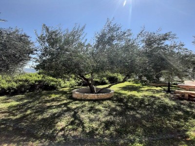 Apartment 1 bedroom apartment with terrace - Outdoor photo 3