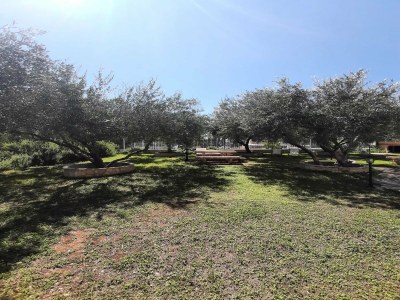 Apartment 1 bedroom apartment with terrace - Outdoor photo 9