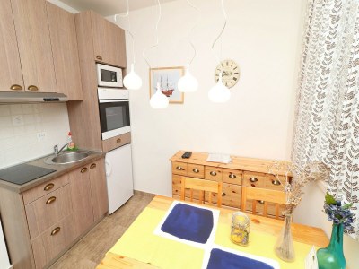 Apartment Apartments Trstenica-Standard One Bedroom Apartment with Balcony  ( D ) - Features photo 7