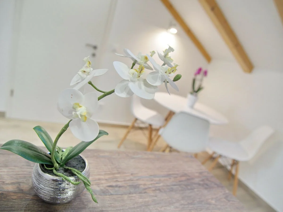 Apartment Apartments Sweet Escape - Studio Apartment with Terrace and Sea View (1)