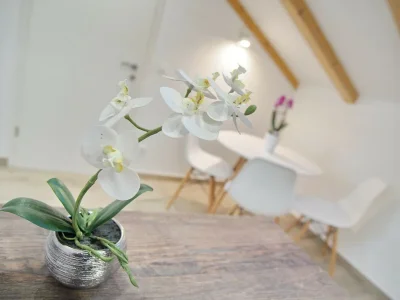 Apartment Apartments Sweet Escape - Studio Apartment with Terrace and Sea View (1) in Dubrovnik - Apartment