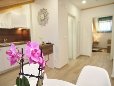Apartment Apartments Sweet Escape - Studio Apartment with Terrace and Sea View (1) - Features photo 9