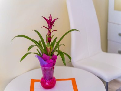 Apartment Rooms Katja & Lara - Double Room (Lara) - Features photo 11