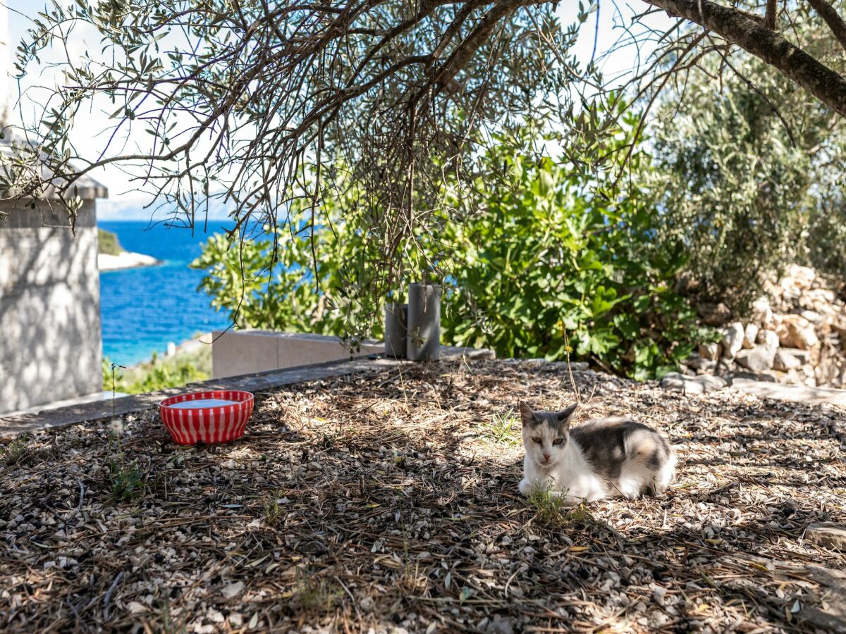 Holiday house Olive's Garden House - Three Bedroom Holiday Home with Terrace and Sea View - Outdoor photo 2