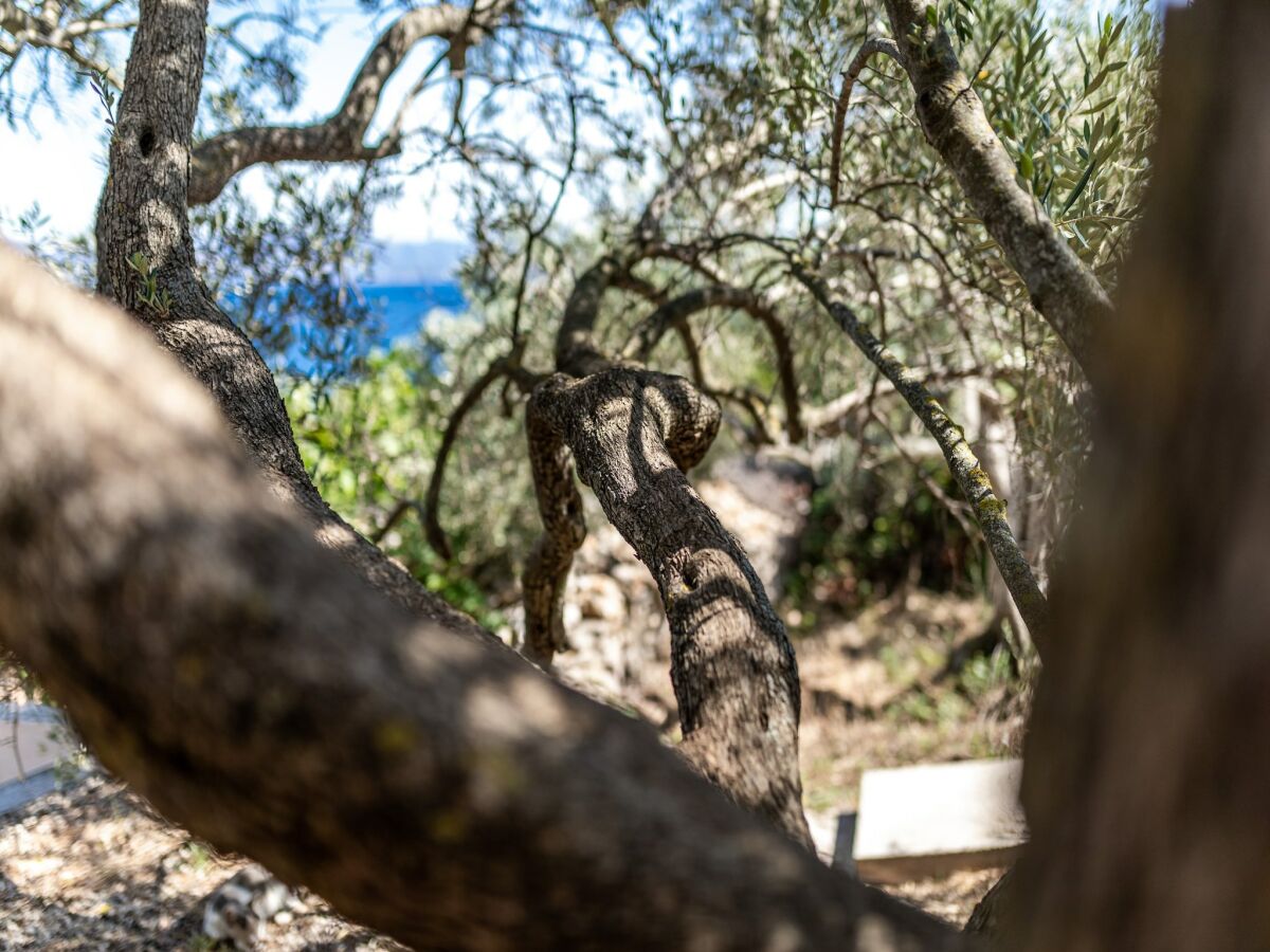 Holiday house Olive's Garden House - Three Bedroom Holiday Home with Terrace and Sea View - Outdoor photo 3