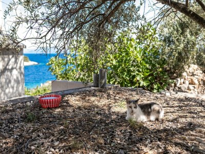 Holiday house Olive's Garden House - Three Bedroom Holiday Home with Terrace and Sea View - Outdoor photo 2