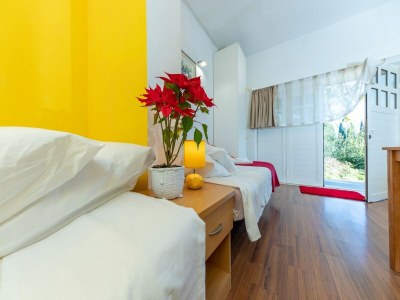 Apartment Apartments Studio Dubrovnik Beach Area-Studio Apartment - Features photo 8