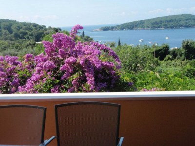 Apartment Apartment Luna - One Bedroom Apartment with Terrace and Sea View (Molunat) - Outdoor photo 15