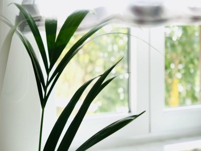 Apartment Villa Tonika -Two Bedroom Apartment with Terrace ( A1 ) - Features photo 10