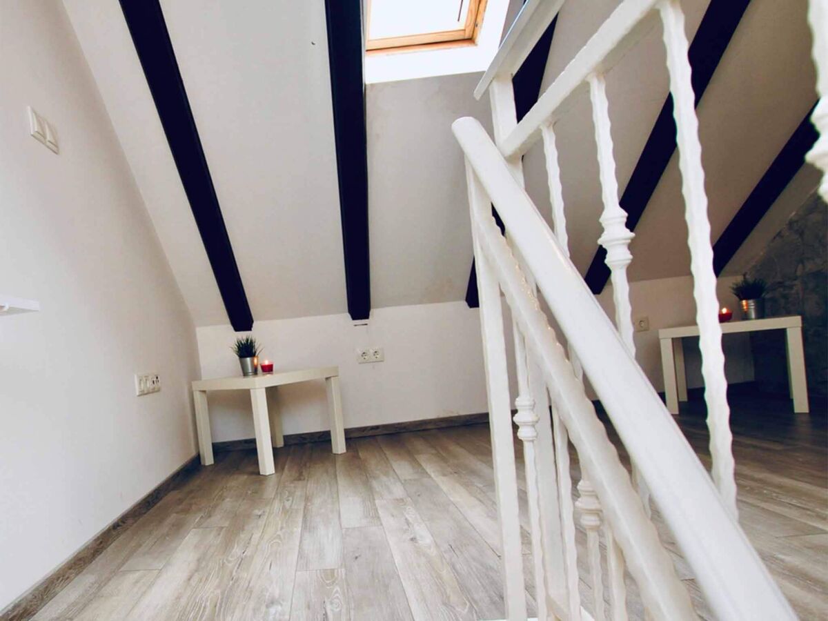 Apartment Dalmatian White Shell Apartment- Two Bedroom Apartment - Features photo 3