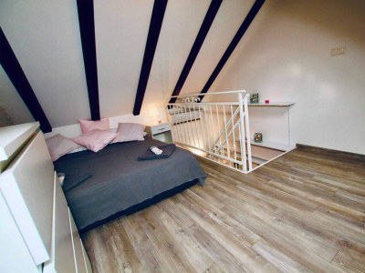 Apartment Dalmatian White Shell Apartment- Two Bedroom Apartment - Features photo 6