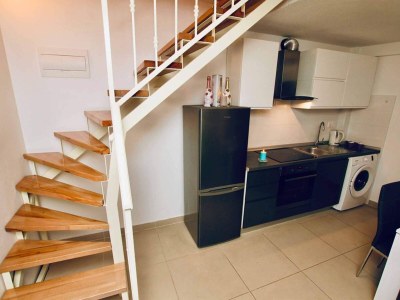 Apartment Dalmatian White Shell Apartment- Two Bedroom Apartment - Features photo 9