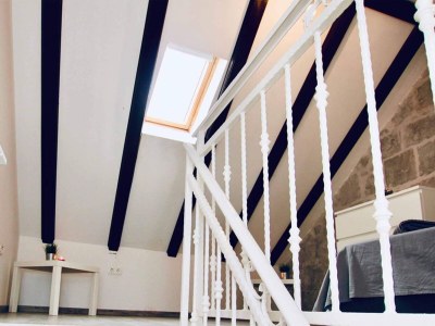 Apartment Dalmatian White Shell Apartment- Two Bedroom Apartment - Features photo 19