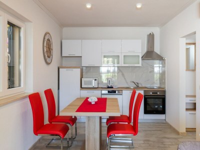 Apartment Apartment Pod Nespolom - One Bedroom Apartment with Terrace - Features photo 9