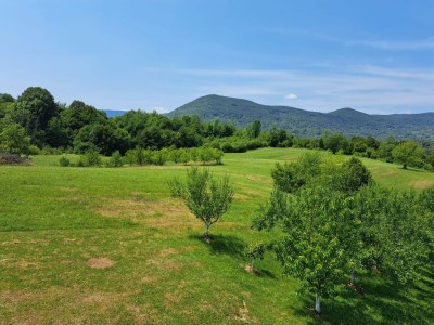 Apartment Guesthouse Žafran- Double Room With Terrace - Outdoor photo 59