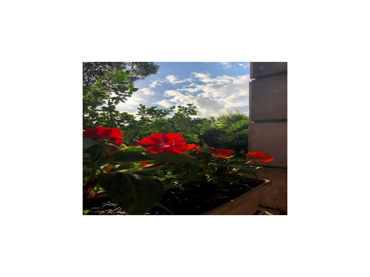 Apartment One bedroom apartment with terrace - Outdoor photo 3