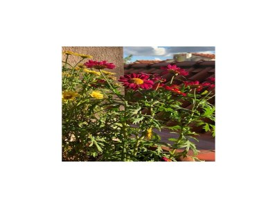 Apartment One bedroom apartment with terrace - Outdoor photo 2