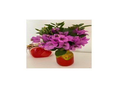 Apartment One bedroom apartment with terrace - Outdoor photo 19