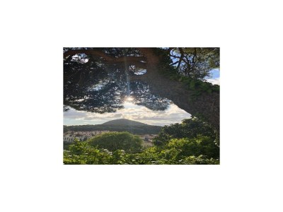 Apartment One bedroom apartment with terrace - Outdoor photo 24