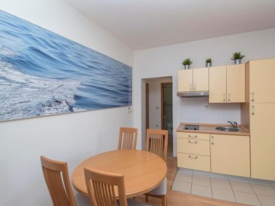 Apartment Apartments Antonio - One Bedroom Apartment with Balcony - 1 in Makarska Riviera - Apartment
