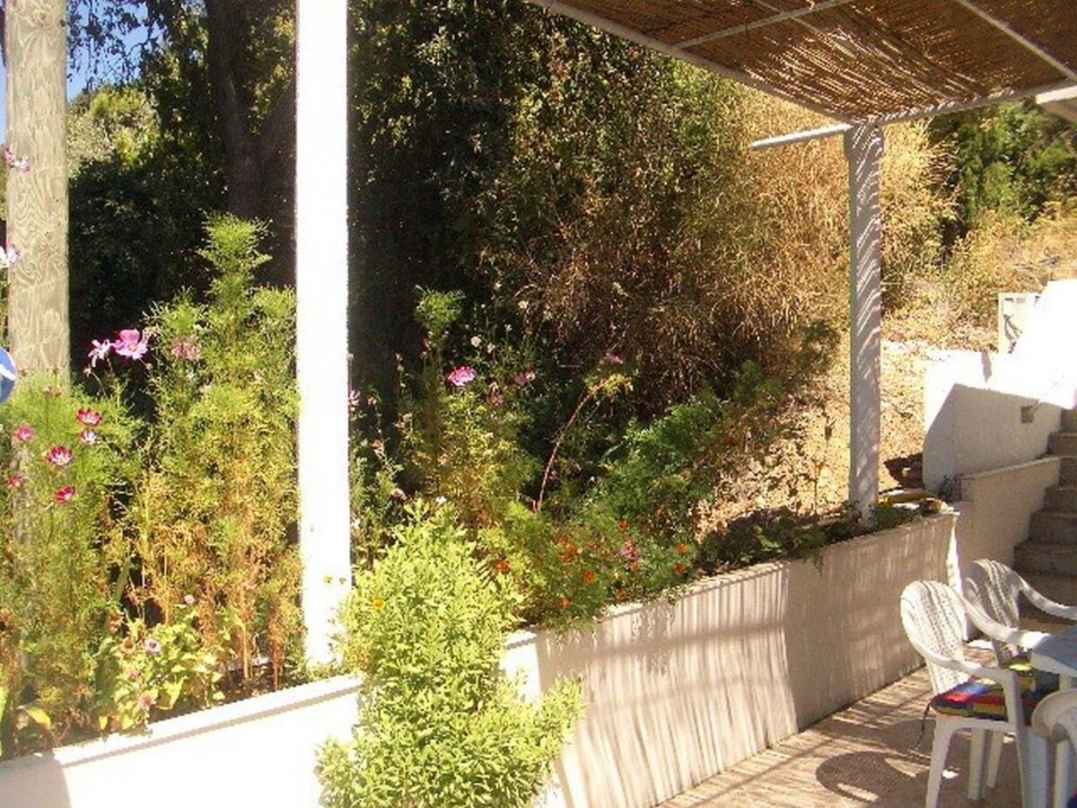 Apartment Apartment Dario - One Bedroom Apartment with Terrace and Sea View - Outdoor photo 2