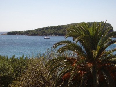Apartment Apartment Dario - One Bedroom Apartment with Terrace and Sea View - Outdoor photo 25