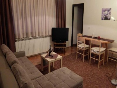 Apartment Apartments & Rooms Rendulić - One Bedroom Apartment with Balcony - Features photo 11