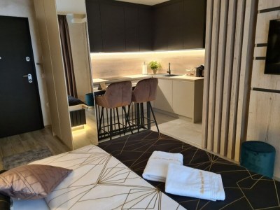 Apartment Studio-Apartment mit Terrasse in Varazdin - Features photo 8