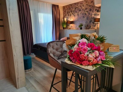 Apartment Studio-Apartment mit Terrasse in Varazdin - Outdoor photo 11