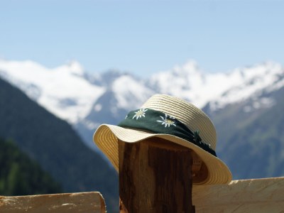 Holiday apartment im Niedrigenergie Haus Artho - Environment photo 28