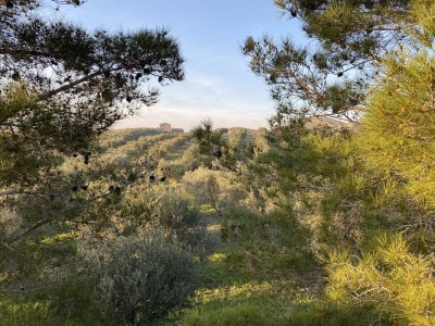 Bungalow Casa Montana - Outdoor photo 7